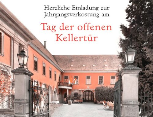 Tag der offenen Kellertür | Präsentation der aktuellen Weine